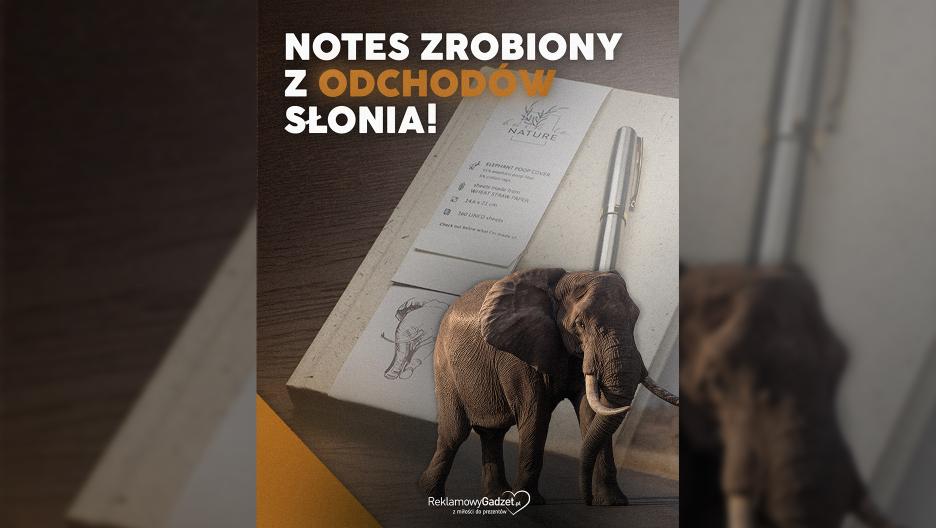 Eko Gadżet z Odchodów Słonia – Zaskakująca Siła Naturalnego Marketingu i Zrównoważonego Brandingu