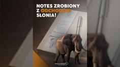 Eko Gadżet z Odchodów Słonia – Zaskakująca Siła Naturalnego Marketingu i Zrównoważonego Brandingu