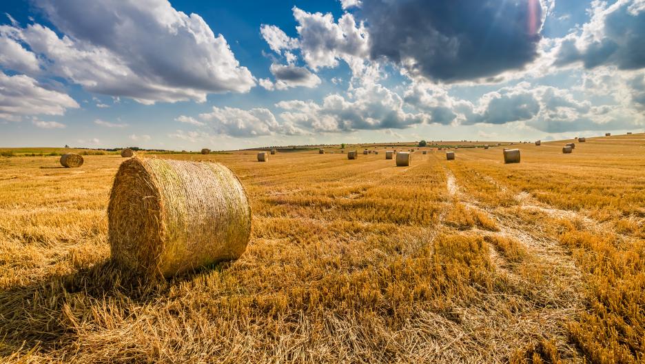 Masz dosyć upalnych dni latem? Oto gadżety, które Cię schłodzą!