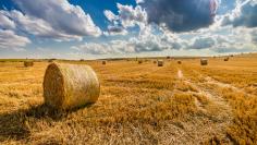 Masz dosyć upalnych dni latem? Oto gadżety, które Cię schłodzą!