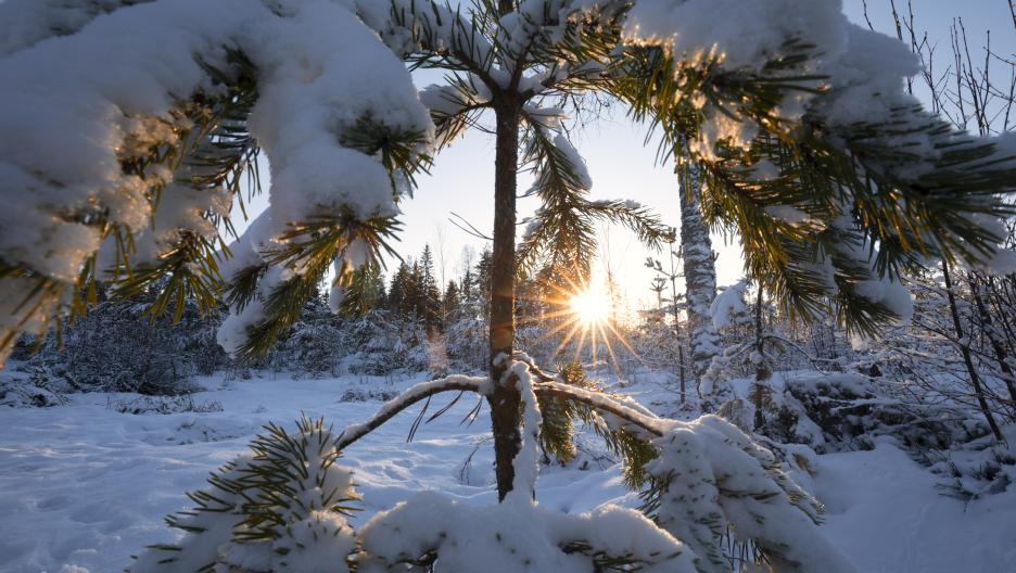 Te gadżety reklamowe z logo marki sprawią, że zima stanie się lekka!