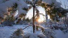 Te gadżety reklamowe z logo marki sprawią, że zima stanie się lekka!