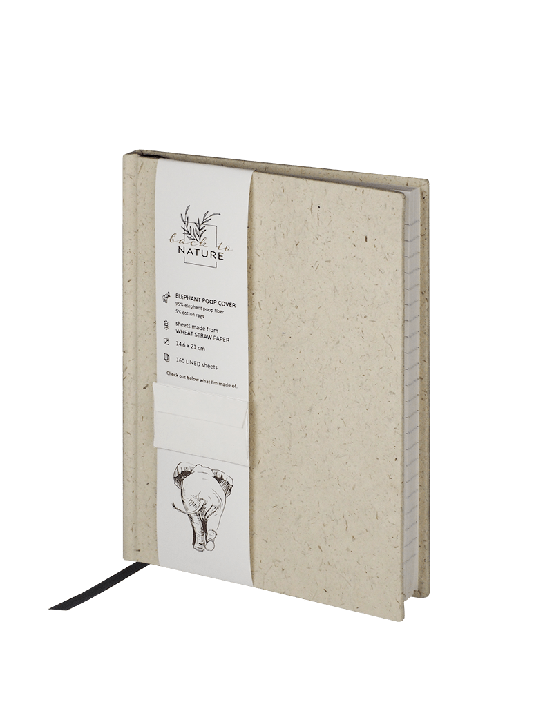 eko notes