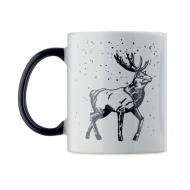 FESTIMUG