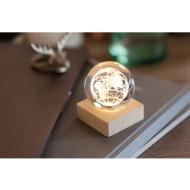 GLOBE LIGHT