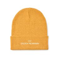 BEANIX