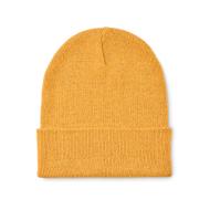 BEANIX