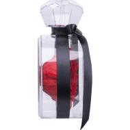 Róża dekoracyjna MARCELLA