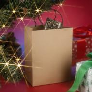 Torba papierowa PAKLO średnia