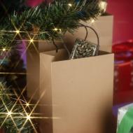 Torba papierowa PAKLO średnia