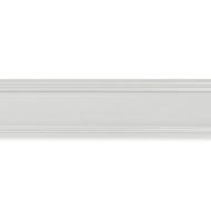 Linijka metalowa 30 cm FERRA