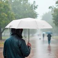 Parasol manualny, składany | Bores