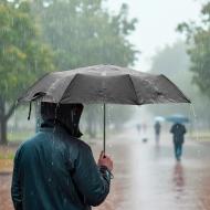 Parasol manualny, składany | Bores