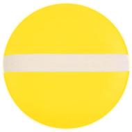 Flicka łapana gra w piłkę