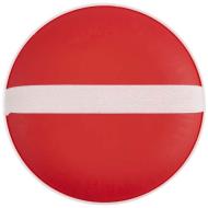 Flicka łapana gra w piłkę