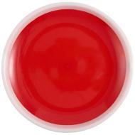 Flicka łapana gra w piłkę