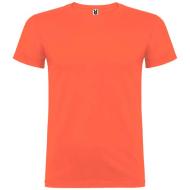 Beagle koszulka męska z krótkim rękawem