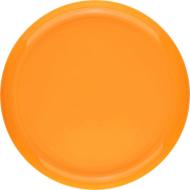 Frisbee