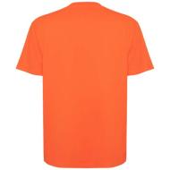 Koszulka Bull, unisex, oversize, z krótkim rękawem 210 g/m²
