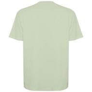Koszulka Bull, unisex, oversize, z krótkim rękawem 210 g/m²