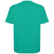 Koszulka Bull, unisex, oversize, z krótkim rękawem 210 g/m²