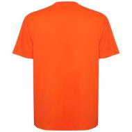 Koszulka Bull, unisex, oversize, z krótkim rękawem 210 g/m²