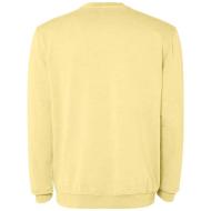 Jaya sweter unisex z okrągłym dekoltem 250 g/m²