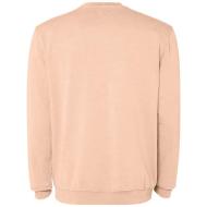 Jaya sweter unisex z okrągłym dekoltem 250 g/m²