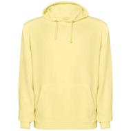 Laguna bluza unisex z kapturem 250 g/m²