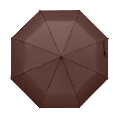RAYNA FOLD