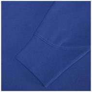 Arora bluza unisex z kapturem 300 g/m²