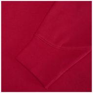 Arora bluza unisex z kapturem 300 g/m²