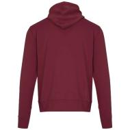 Arora bluza unisex z kapturem 300 g/m²
