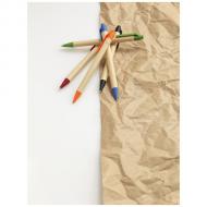 Długopis Berk z kartonu z recyklingu i plastiku kukurydzianego
