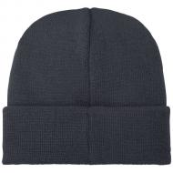 Czapka typu beanie Boreas z naszywką