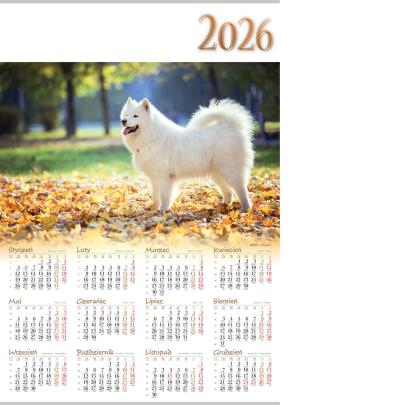 Kalendarz ścienny jednoplanszowy na 2026 rok