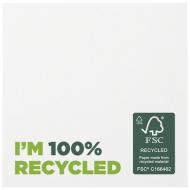 Karteczki samoprzylepne z recyklingu o wymiarach 75 x 75 mm Sticky-Mate®