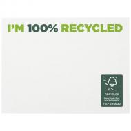 Karteczki samoprzylepne z recyklingu o wymiarach 100 x 75 mm Sticky-Mate®