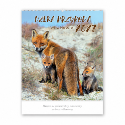 Kalendarz ścienny wieloplanszowy 2027 Dzika przyroda