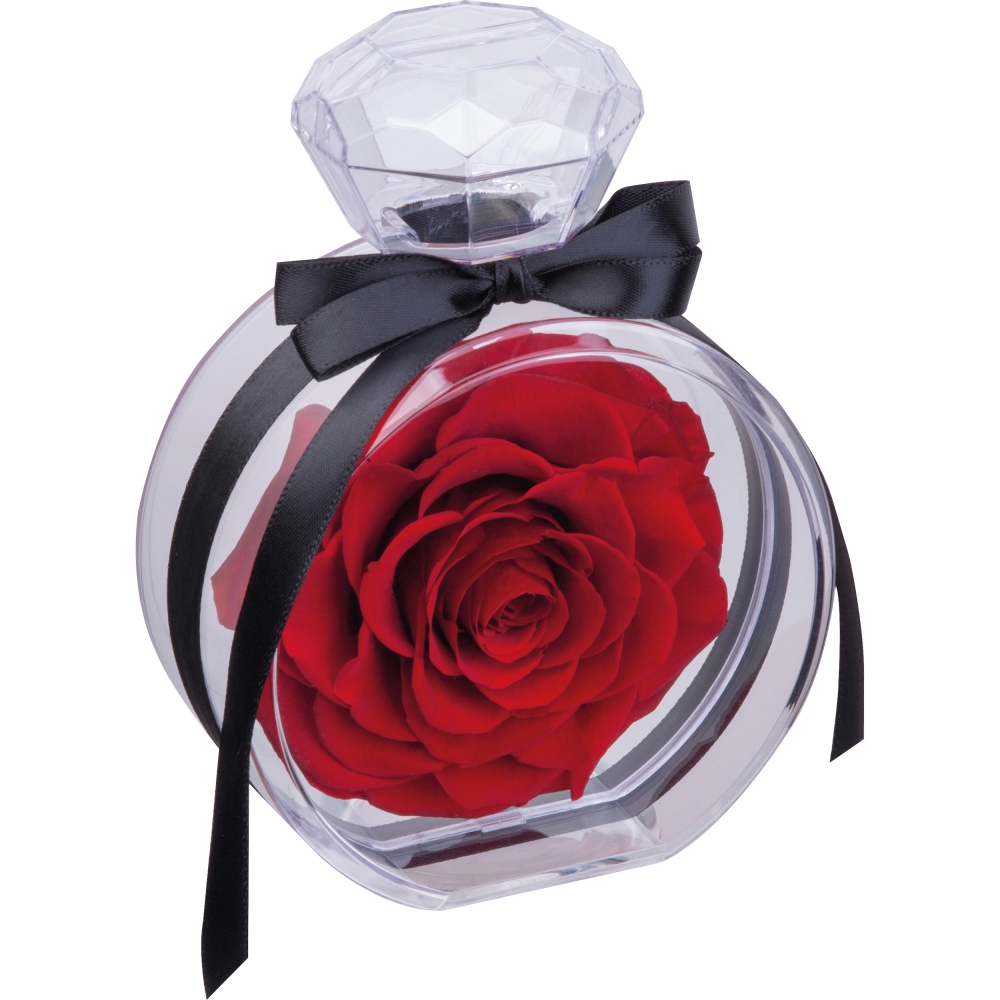 r&oacute;ża dekoracyjna